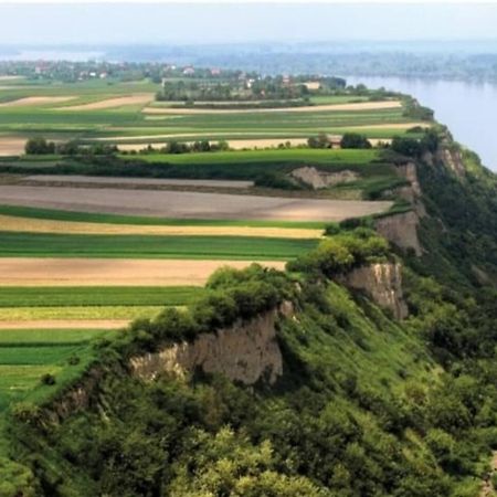 Danube Oasis Stevantown 3 Stari Banovci Exterior foto